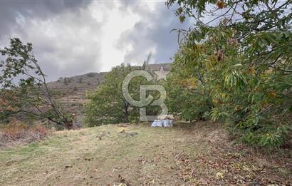 İzmir Kiraz Dokuzlar'da 9.113 m² Kestane Yetiştirmek İçin Tarla