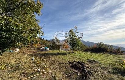 İzmir Kiraz Dokuzlar'da 9.113 m² Kestane Yetiştirmek İçin Tarla