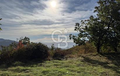 İzmir Kiraz Dokuzlar'da 9.113 m² Kestane Yetiştirmek İçin Tarla