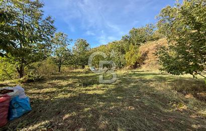 İzmir Kiraz Dokuzlar'da 9.113 m² Kestane Yetiştirmek İçin Tarla