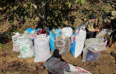 İzmir Kiraz Dokuzlar'da 9.113 m² Kestane Yetiştirmek İçin Tarla