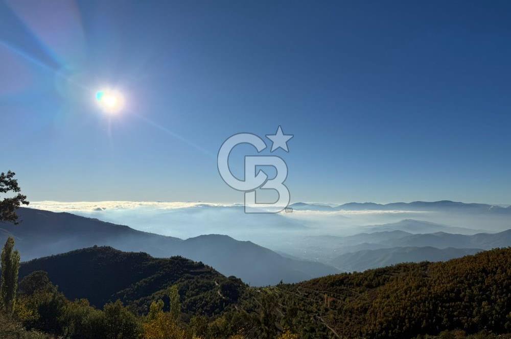 İzmir Kiraz Dokuzlar'da 9.113 m² Kestane Yetiştirmek İçin Tarla