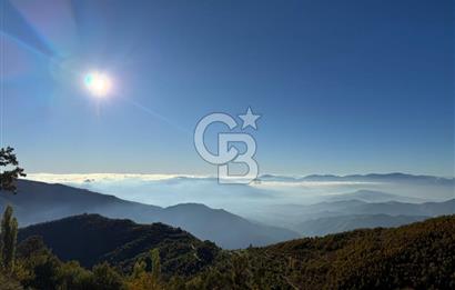 İzmir Kiraz Dokuzlar'da 9.113 m² Kestane Yetiştirmek İçin Tarla