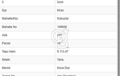 İzmir Kiraz Dokuzlar'da 9.113 m² Kestane Yetiştirmek İçin Tarla