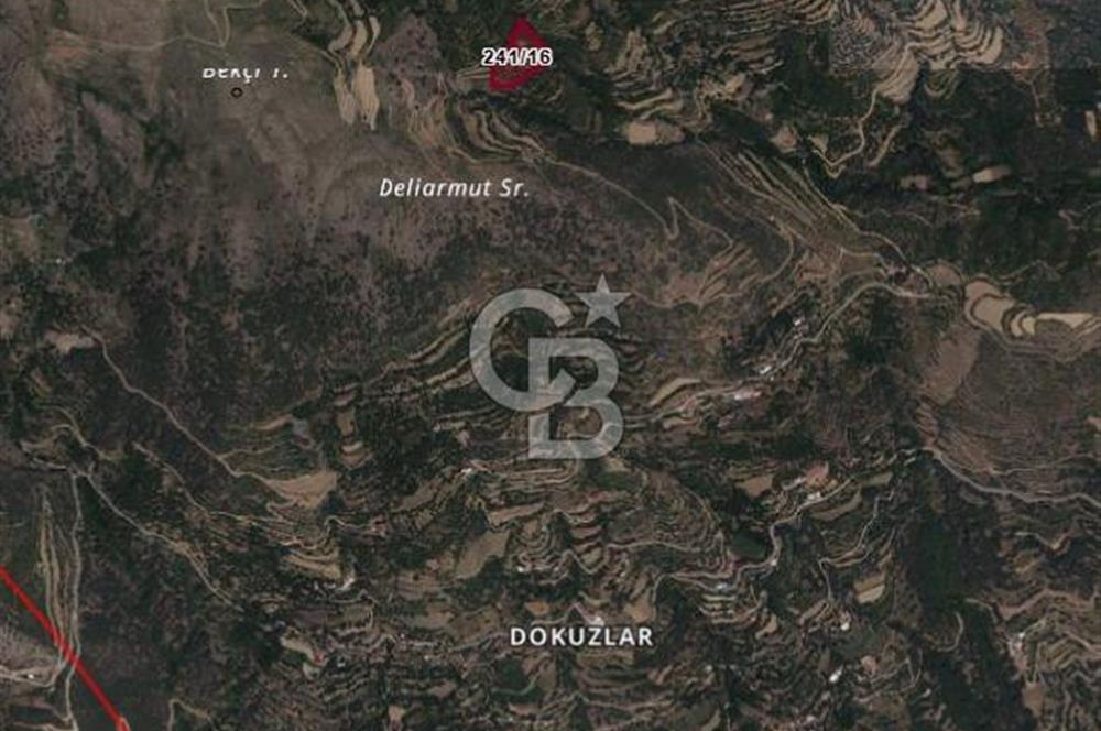 İzmir Kiraz Dokuzlar'da 9.113 m² Kestane Yetiştirmek İçin Tarla