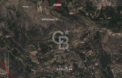 İzmir Kiraz Dokuzlar'da 9.113 m² Kestane Yetiştirmek İçin Tarla