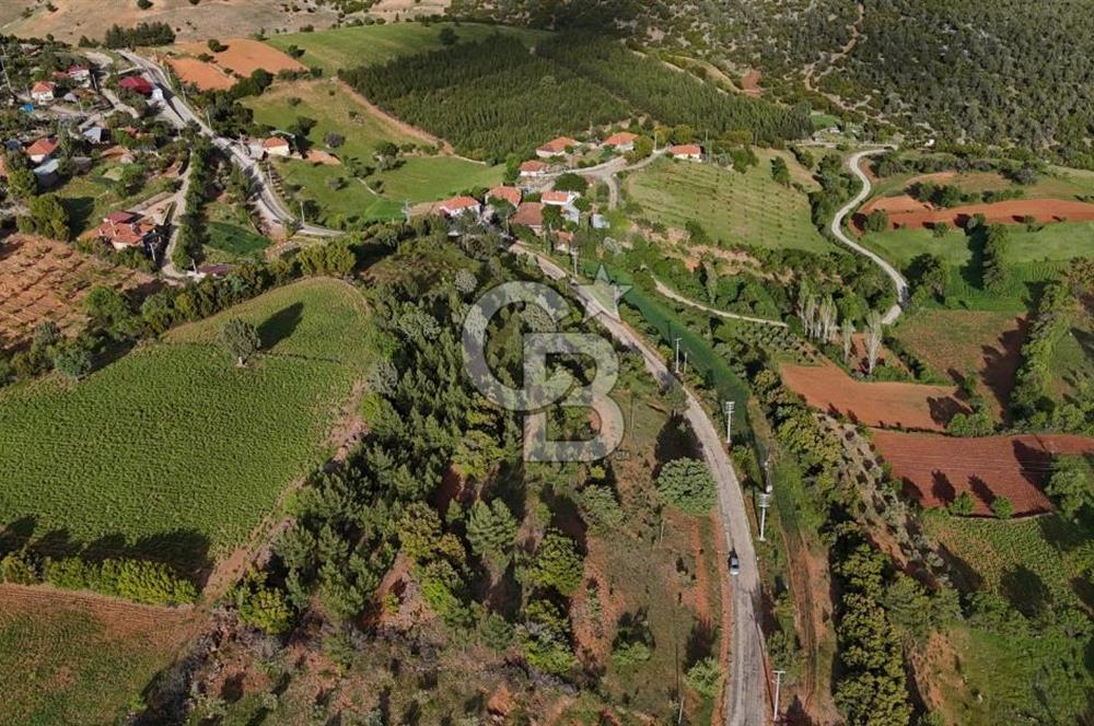 DENİZLİ TAVAS'TA 2400 M2 ARSA