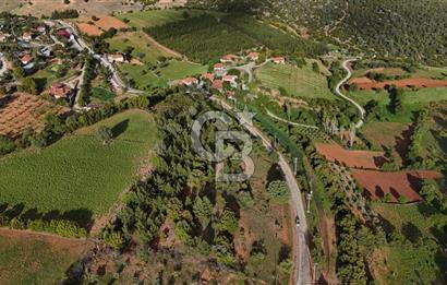 DENİZLİ TAVAS'TA 2400 M2 ARSA