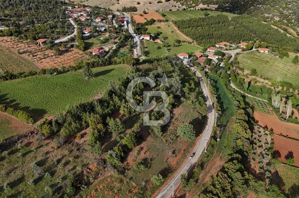 DENİZLİ TAVAS'TA 2400 M2 ARSA