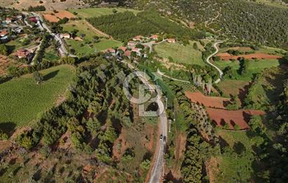 DENİZLİ TAVAS'TA 2400 M2 ARSA