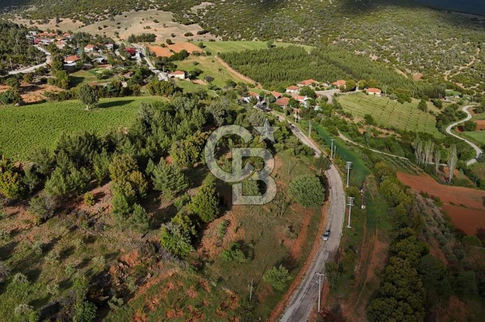 DENİZLİ TAVAS'TA 2400 M2 ARSA