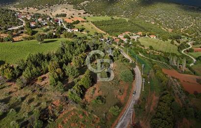 DENİZLİ TAVAS'TA 2400 M2 ARSA