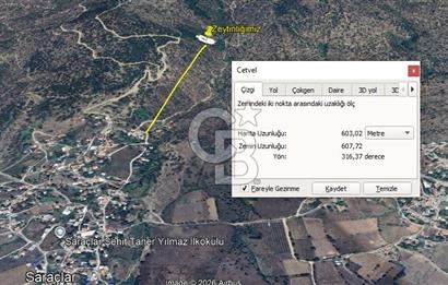 AYDIN ÇİNE'DE 45 AĞAÇLI ZEYTİNLİK