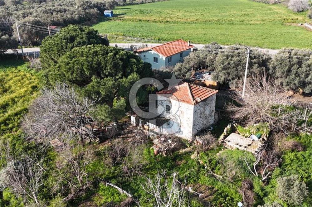 Foça Yenibağarası Mah. Anayola Cepheli Kiralık Tarla