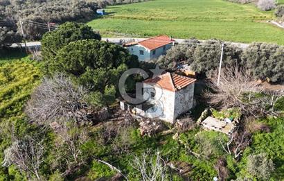 Foça Yenibağarası Mah. Anayola Cepheli Kiralık Tarla