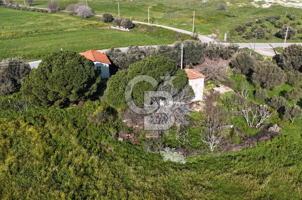 Foça Yenibağarası Mah. Anayola Cepheli Kiralık Tarla