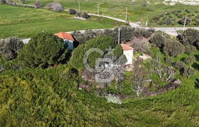 Foça Yenibağarası Mah. Anayola Cepheli Kiralık Tarla