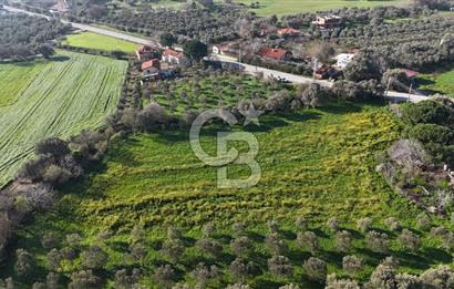 Foça Yenibağarası Mah. Anayola Cepheli Kiralık Tarla