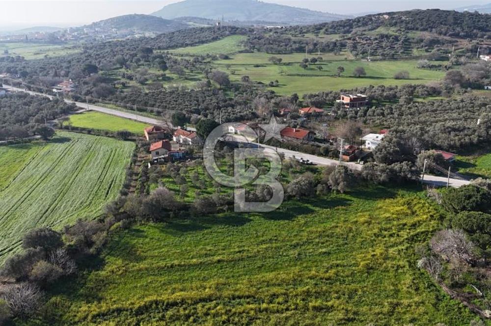 Foça Yenibağarası Mah. Anayola Cepheli Kiralık Tarla