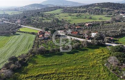 Foça Yenibağarası Mah. Anayola Cepheli Kiralık Tarla