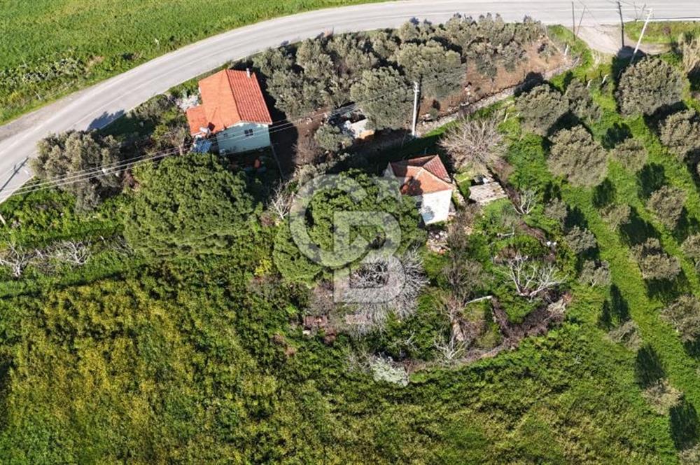 Foça Yenibağarası Mah. Anayola Cepheli Kiralık Tarla