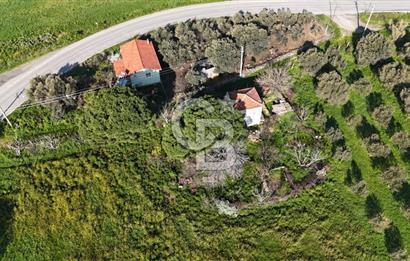 Foça Yenibağarası Mah. Anayola Cepheli Kiralık Tarla