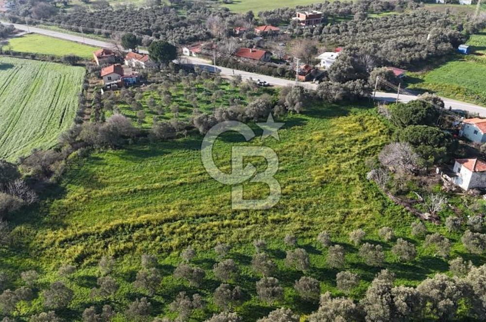 Foça Yenibağarası Mah. Anayola Cepheli Kiralık Tarla