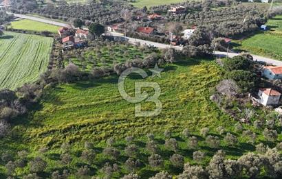 Foça Yenibağarası Mah. Anayola Cepheli Kiralık Tarla