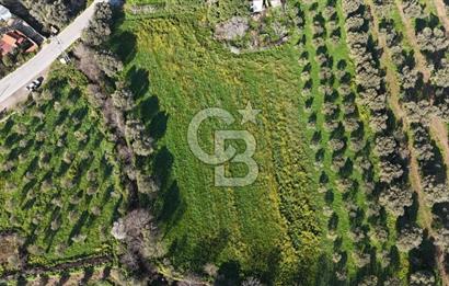 Foça Yenibağarası Mah. Anayola Cepheli Kiralık Tarla