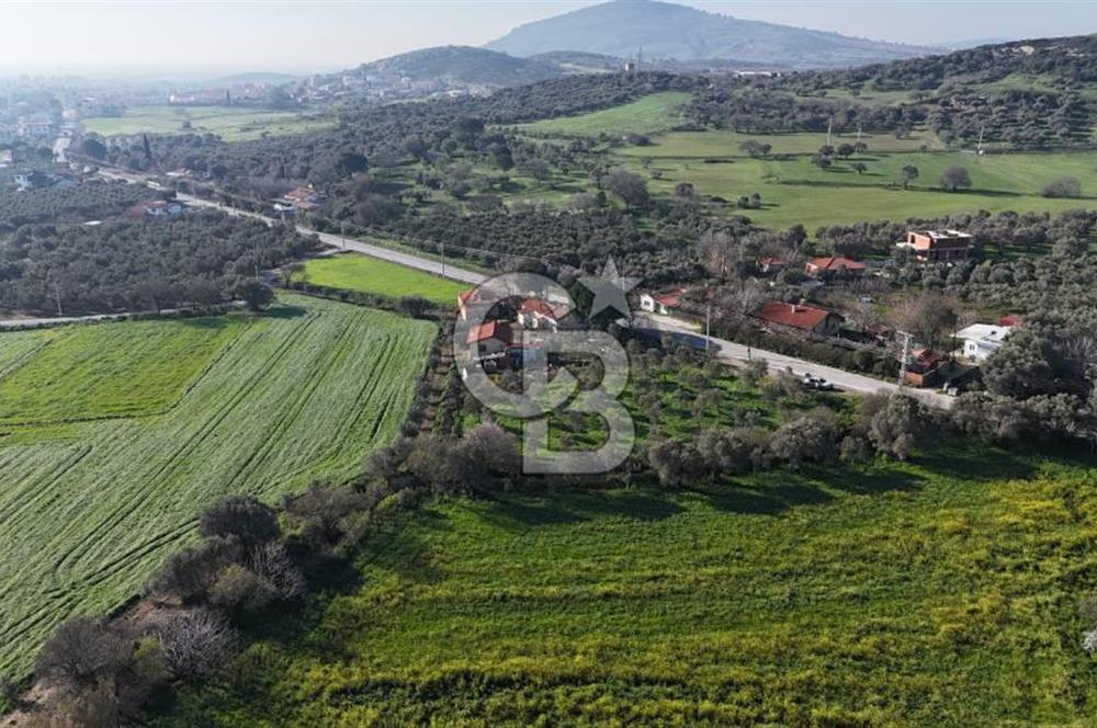 Foça Yenibağarası Mah. Anayola Cepheli Kiralık Tarla