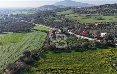 Foça Yenibağarası Mah. Anayola Cepheli Kiralık Tarla