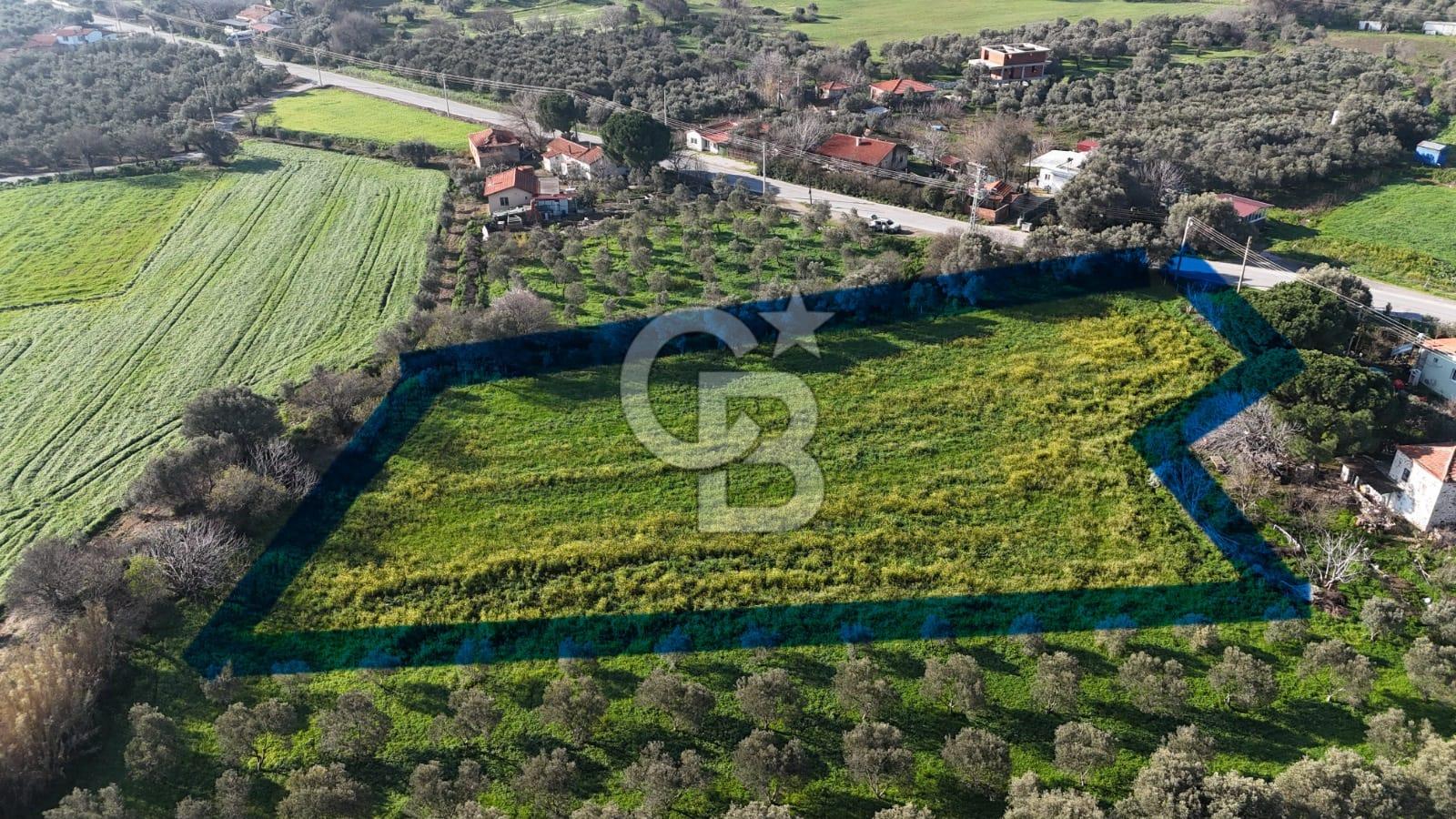 Foça Yenibağarası Mah. Anayola Cepheli Kiralık Tarla