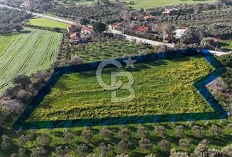 Foça Yenibağarası Mah. Anayola Cepheli Kiralık Tarla - 1 - 337033