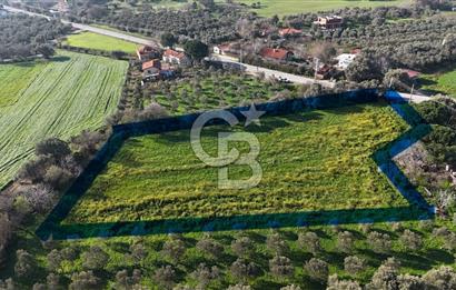 Foça Yenibağarası Mah. Anayola Cepheli Kiralık Tarla