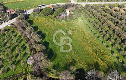 Foça Yenibağarası Mah. Anayola Cepheli Kiralık Tarla