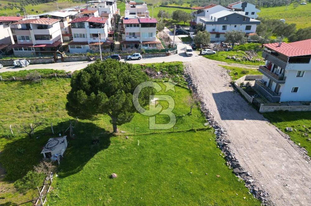 DİKİLİ GAZİPAŞA 417 M2 KONUT İMARLI SATILIK KÖŞE PARSEL