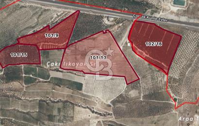 Mut Çağlayangedik ve Çortak Sınırı Satılık Çiftlik ve Arazi 