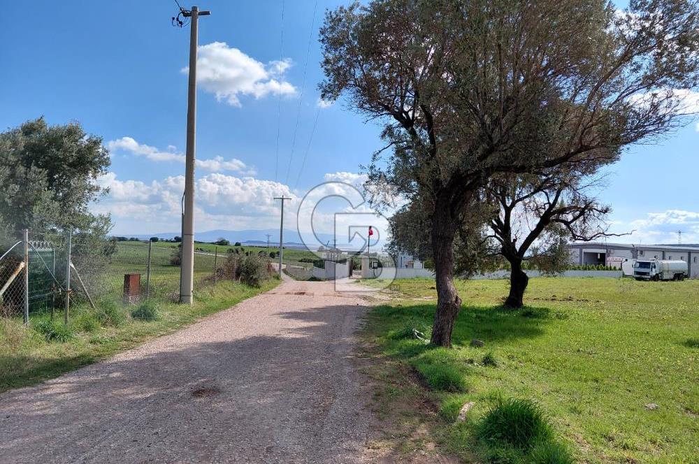 FOÇA’DA DENİZE YAKIN | YOLA CEPHELİ ÖZEL KONUM PARSEL