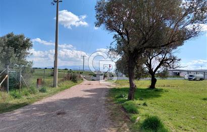 FOÇA’DA DENİZE YAKIN | YOLA CEPHELİ ÖZEL KONUM PARSEL