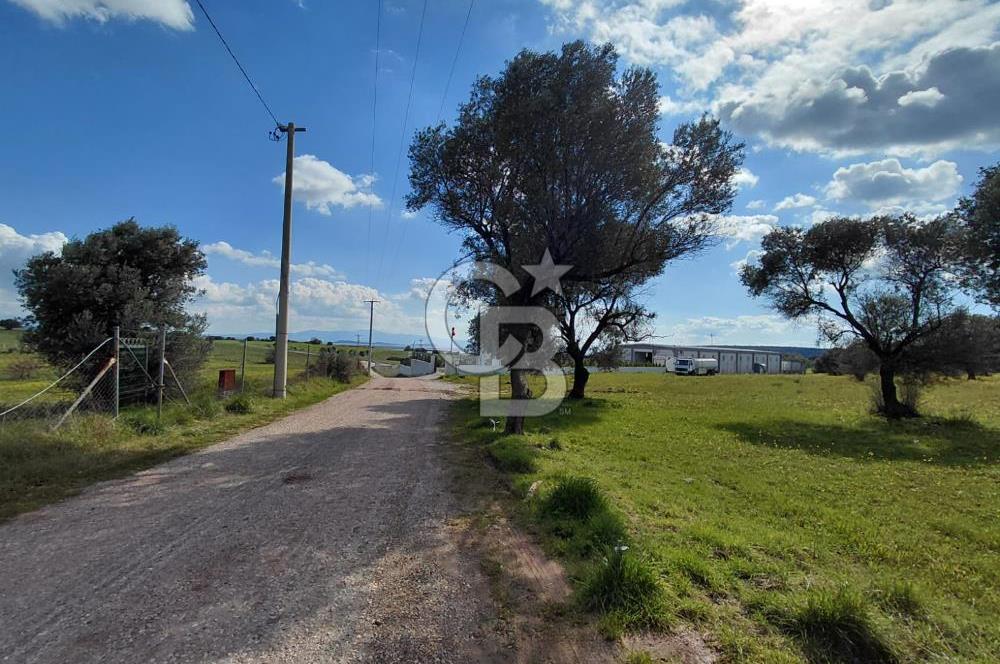 FOÇA’DA DENİZE YAKIN | YOLA CEPHELİ ÖZEL KONUM PARSEL