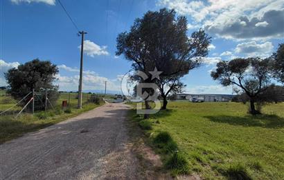 FOÇA’DA DENİZE YAKIN | YOLA CEPHELİ ÖZEL KONUM PARSEL