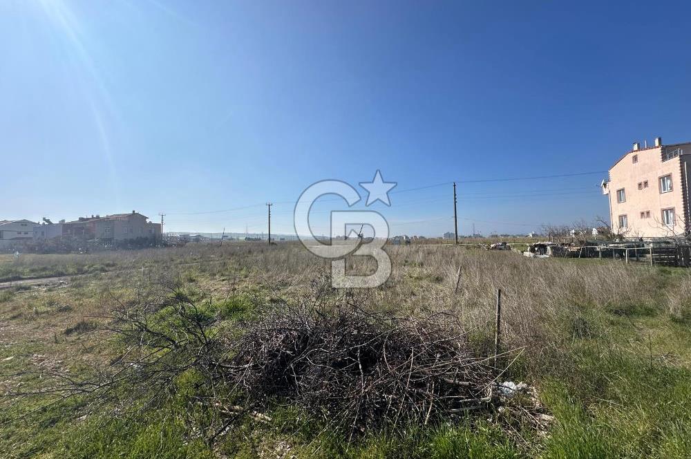 Lapseki Çardak'ta ACİL FIRSAT! Denize 250m İmarlı 335m² Arsa