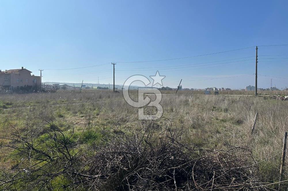 Lapseki Çardak'ta ACİL FIRSAT! Denize 250m İmarlı 335m² Arsa