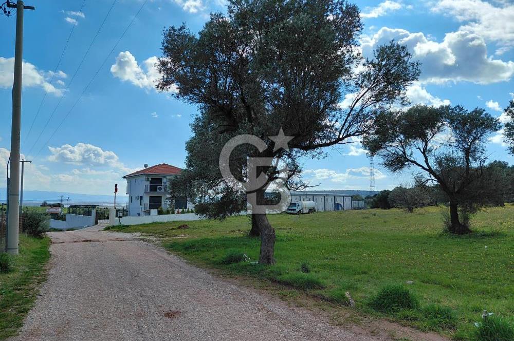 FOÇA’DA DENİZE YAKIN | YOLA CEPHELİ ÖZEL KONUM PARSEL