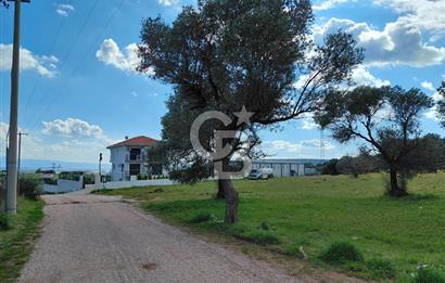 FOÇA’DA DENİZE YAKIN | YOLA CEPHELİ ÖZEL KONUM PARSEL