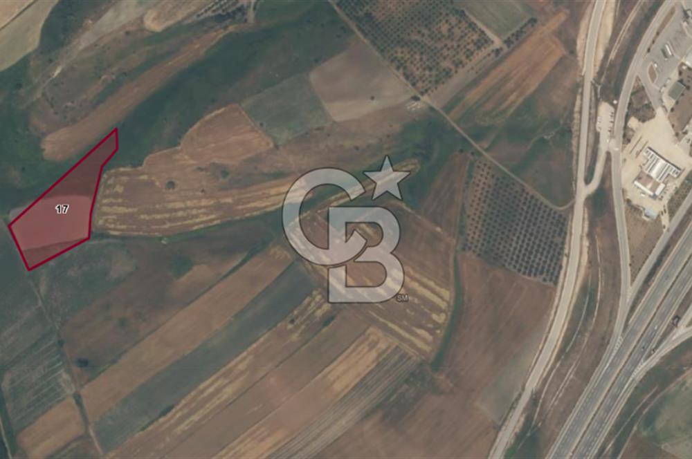 CB EAGLE'DAN BURSA MKP'DA, ADAKÖY MH.'DE SATILIK 8.150 M² TARLA