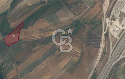 CB EAGLE'DAN BURSA MKP'DA, ADAKÖY MH.'DE SATILIK 8.150 M² TARLA