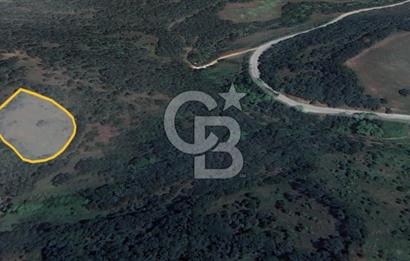 ÇAN BARDAKÇILAR KÖYÜNDE YATIRIMLIK 2.306 M2 TARLA