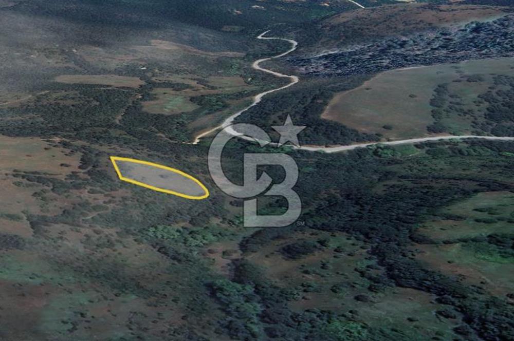 ÇAN BARDAKÇILAR KÖYÜNDE YATIRIMLIK 2.306 M2 TARLA