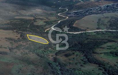 ÇAN BARDAKÇILAR KÖYÜNDE YATIRIMLIK 2.306 M2 TARLA